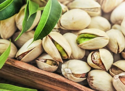 تصویر 4 از قیمت خرید پسته اکبری خام با فروش عمده